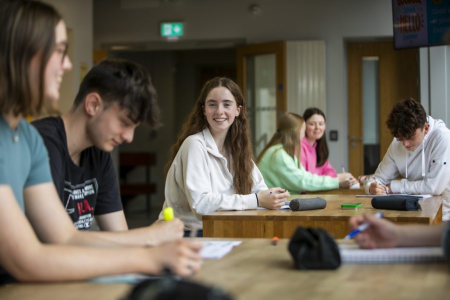 Grinds Dublin 2nd 6th Year Students The Institute of Education