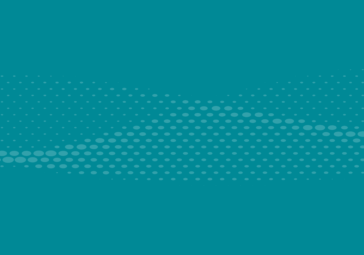 Elevate Programme Feature Image